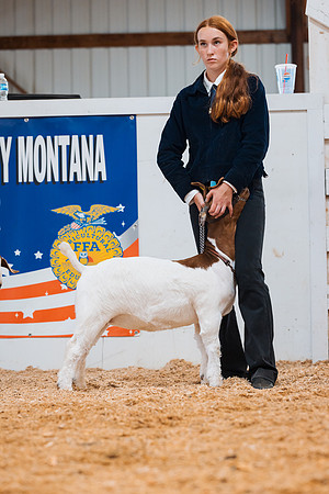 DAY4BREEDINGGOAT44