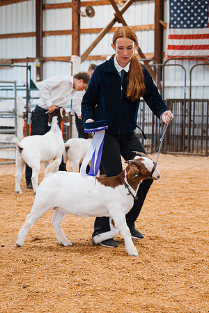 DAY4BREEDINGGOAT46