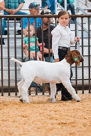 DAY4MARKETGOAT1