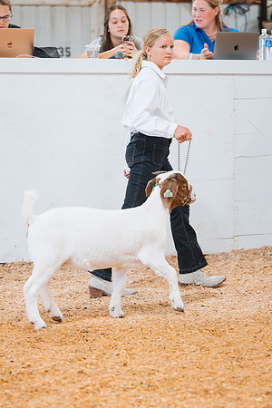 DAY4MARKETGOAT2