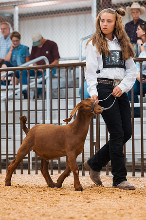 DAY4MARKETGOAT9