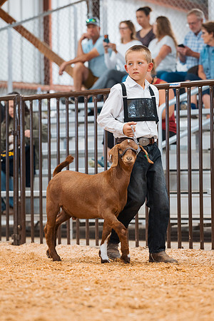 DAY4MARKETGOAT8
