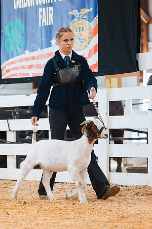 DAY4MARKETGOAT12