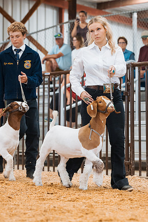 DAY4MARKETGOAT17