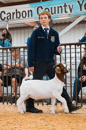 DAY4MARKETGOAT18