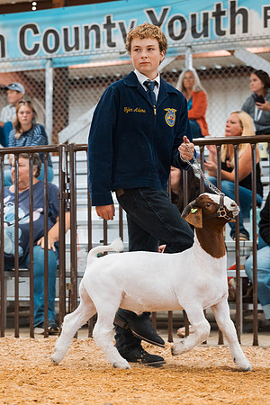 DAY4MARKETGOAT19