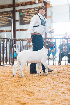 DAY4MARKETGOAT21