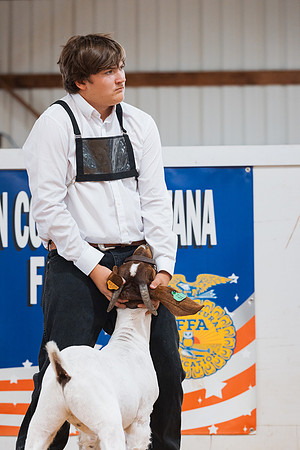 DAY4MARKETGOAT26