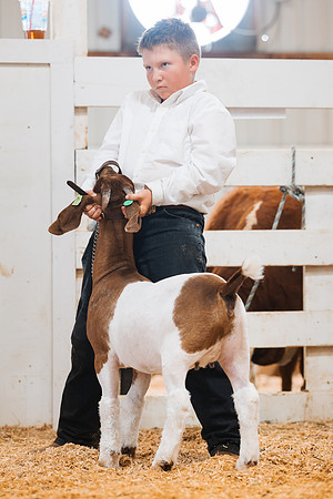 DAY4MARKETGOAT29