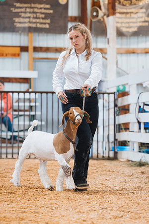 DAY4MARKETGOAT31