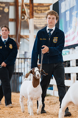 DAY4MARKETGOAT32