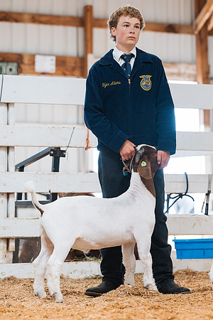 DAY4MARKETGOAT39