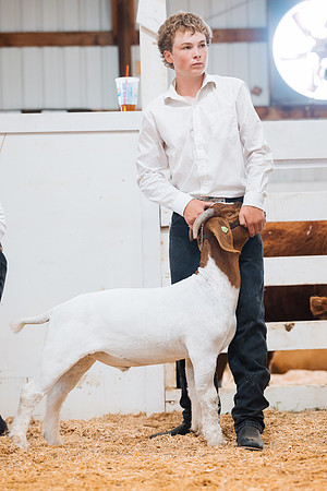 DAY4MARKETGOAT54