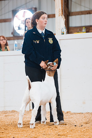 DAY4MARKETGOAT58