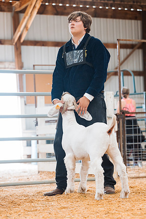 DAY4MARKETGOAT60