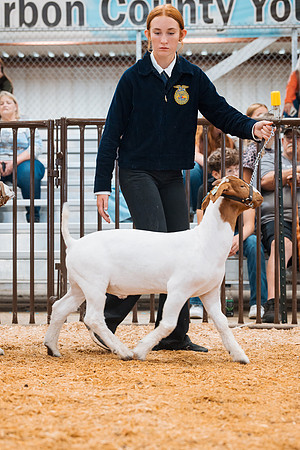 DAY4MARKETGOAT63