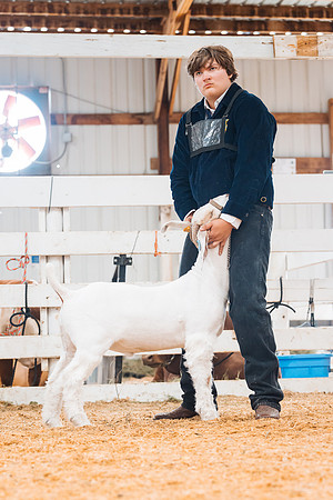 DAY4MARKETGOAT66