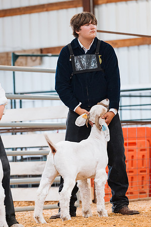 DAY4MARKETGOAT75