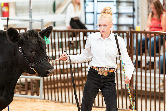 BEEF SHOWMANSHIP1