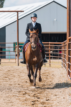DAY4HORSESHOW11