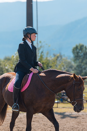 DAY4HORSESHOW9