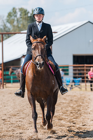 DAY4HORSESHOW12