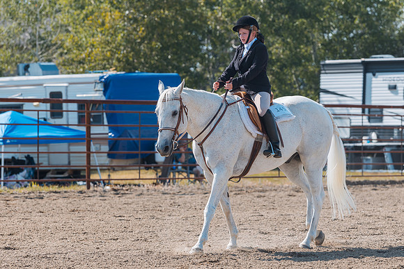 DAY4HORSESHOW18