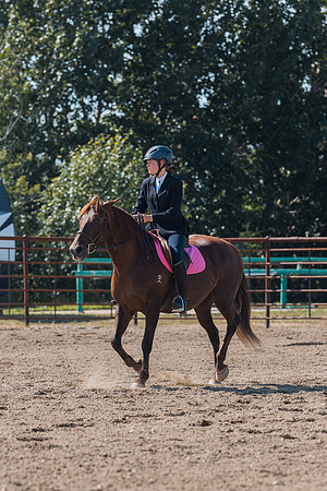 DAY4HORSESHOW21