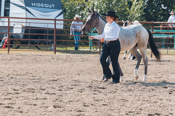 DAY4HORSESHOW34
