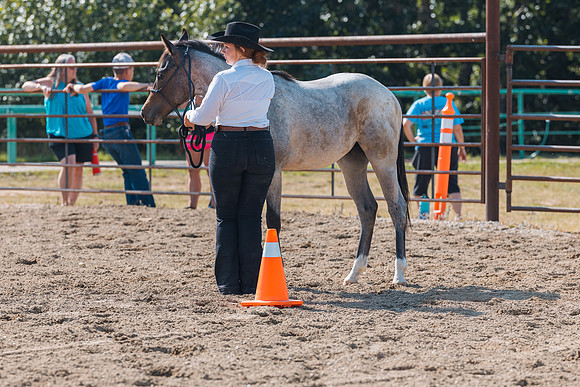 DAY4HORSESHOW33