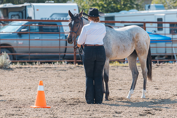 DAY4HORSESHOW35