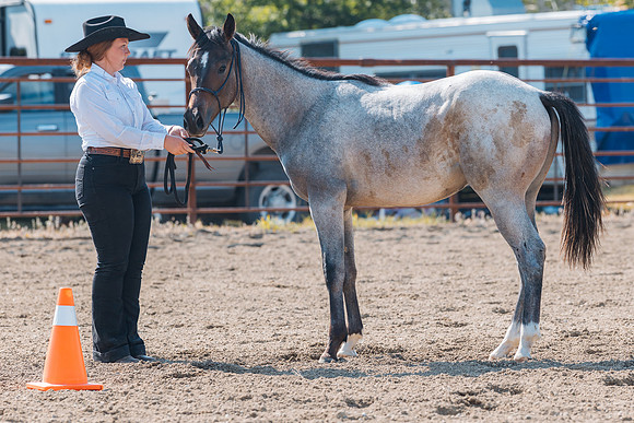 DAY4HORSESHOW36