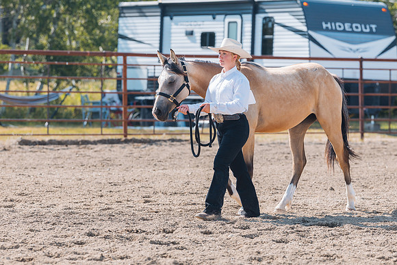 DAY4HORSESHOW37