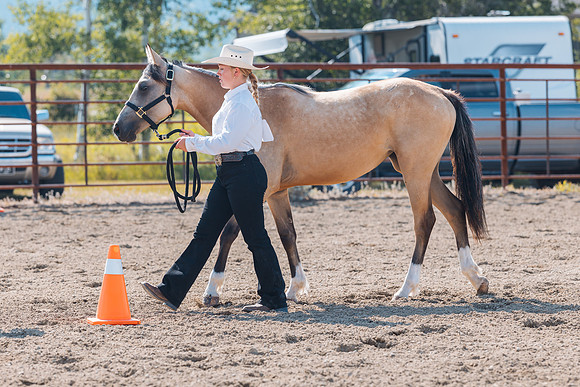 DAY4HORSESHOW38