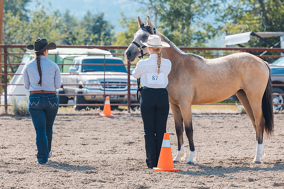 DAY4HORSESHOW39