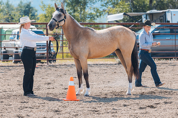 DAY4HORSESHOW40