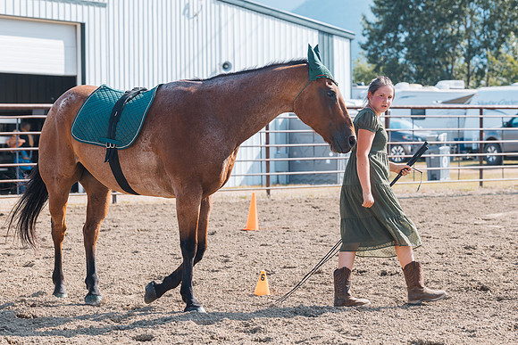 DAY4HORSESHOW52