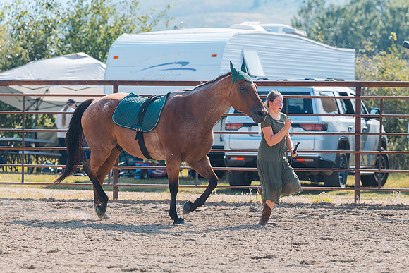DAY4HORSESHOW53