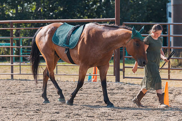 DAY4HORSESHOW57