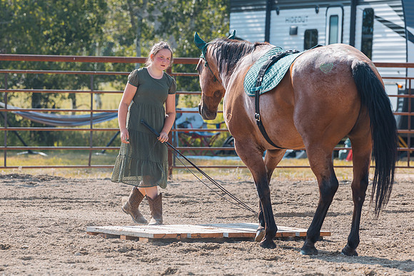 DAY4HORSESHOW58