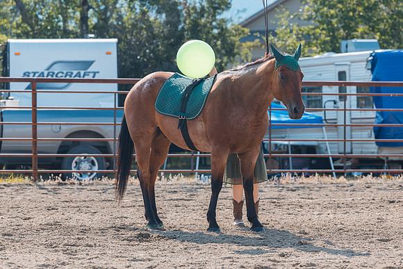 DAY4HORSESHOW55