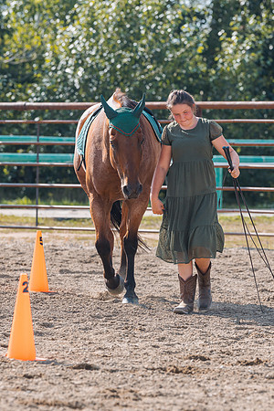 DAY4HORSESHOW59