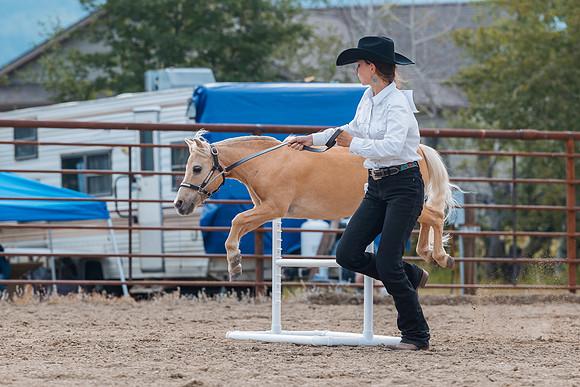 DAY4HORSESHOW61