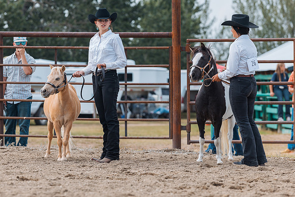 DAY4HORSESHOW60