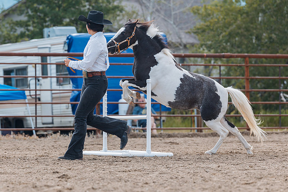 DAY4HORSESHOW63