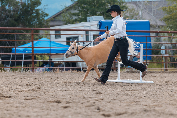 DAY4HORSESHOW62