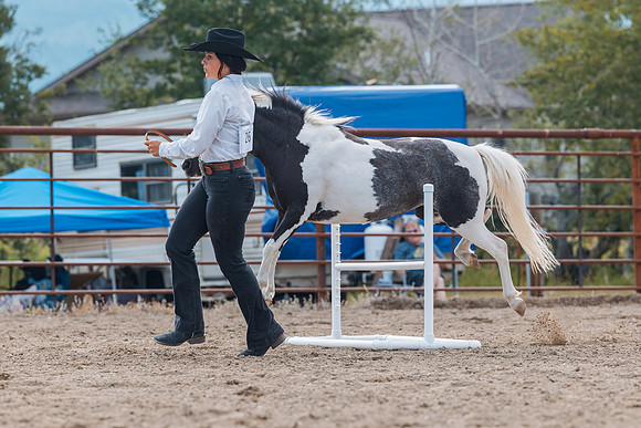 DAY4HORSESHOW64