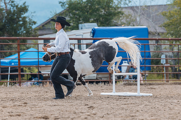 DAY4HORSESHOW65