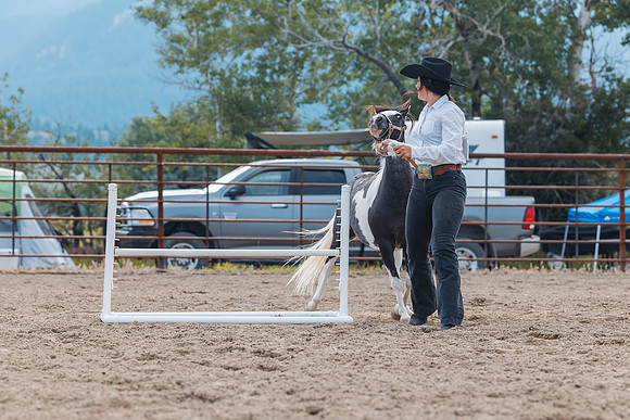 DAY4HORSESHOW66