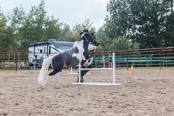 DAY4HORSESHOW67